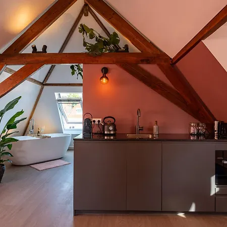 Stylish Loft - The King Swiete - Between Center & The - The Swiete Apartment The Hague